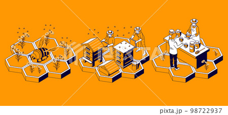 Beekeeping Honeycomb Isometric Infographics 98722937