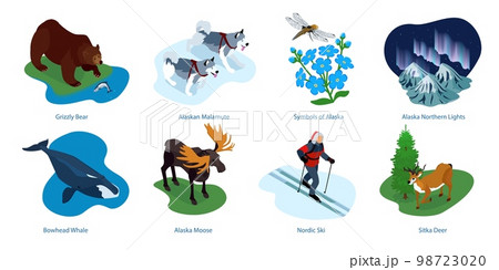 Alaska Isometric Compositions 98723020
