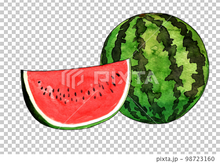 Illustration material of watermelon 98723160