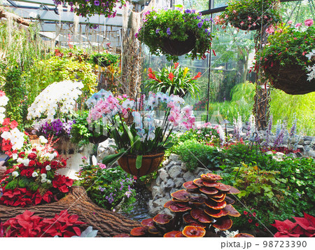 ガーデンズバイザベイ　フローラルファンタジーの花 98723390