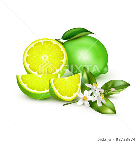 Lemon Lime Realistic Composition 98723874