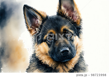 水彩画 ジャーマンシェパード/ゴールデンレトリーバー German shepherd