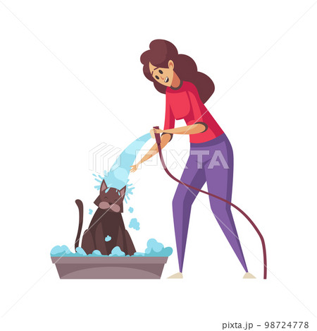 Washing Car Grooming Composition Washing Car Grooming Composition 98724778