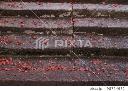 紅葉と石の階段 98724972