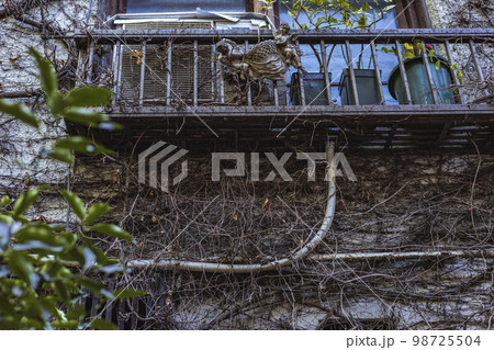 蔦に覆われた家屋 98725504