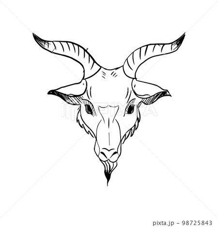 Ocult head of goat with horns Ocult head of goat with horns 98725843