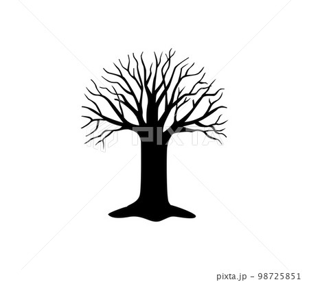 Silhouette tree without leaves. Black plant with lush branches Silhouette tree without leaves. Black plant with lush branches 98725851