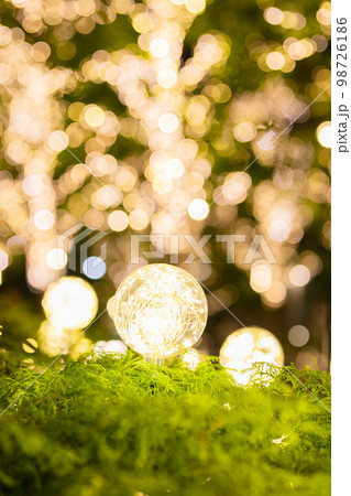 クリスマス　飾り　デコレーション 98726186