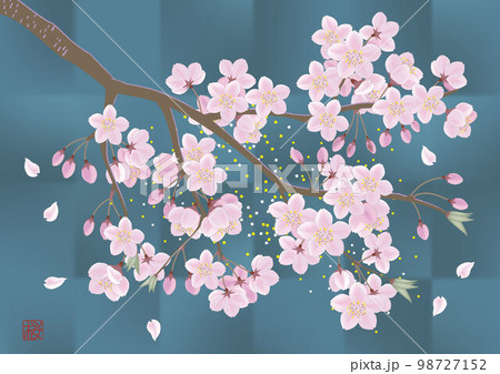 日本画風桜の枝と桜の花・青背景 日本画風桜の枝と桜の花・青背景 98727152