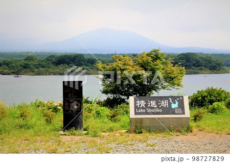 精進湖 精進湖 98727829