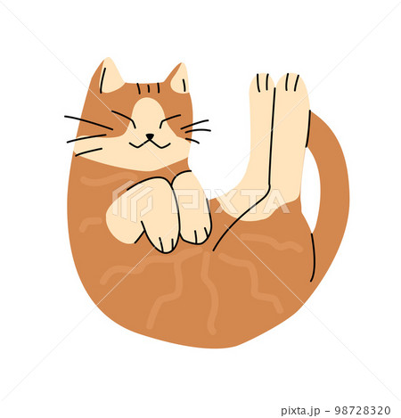 Illustration of cute funny cat with strange pose. Isolated trendy simple art of joyful orange cat. 98728320