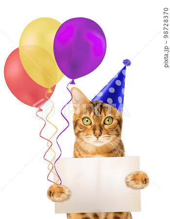 Red cat with colorful balloons and a card. 98728370