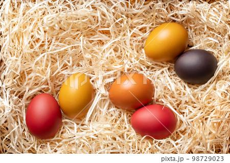 Colorful dyed Easter eggs in a wood wool nest, from above. Paschal eggs, hard boiled, colored chicken eggs, in a bed of wood slivers, cut from logs, used during Eastertide as decoration and as a gift. 98729023