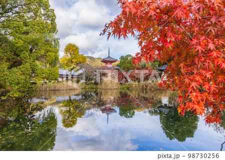 京都嵯峨野 大覚寺の紅葉 京都嵯峨野 大覚寺の紅葉 98730256