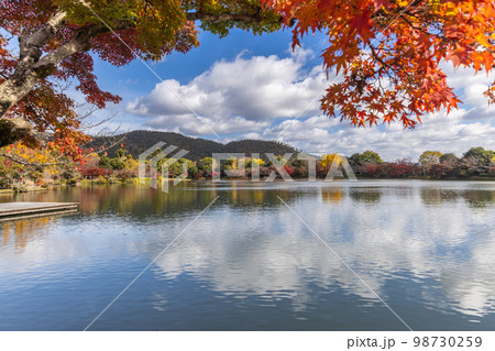 京都嵯峨野 大覚寺の紅葉 京都嵯峨野 大覚寺の紅葉 98730259