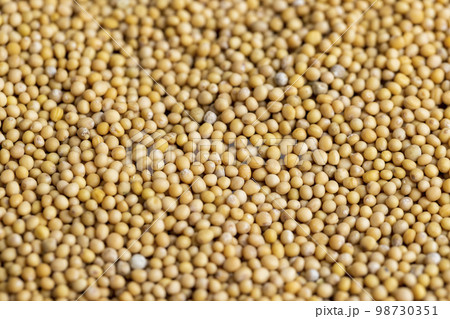 Mustard seeds are orange in color and small in size 98730351