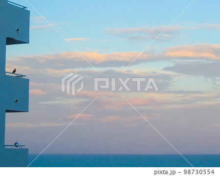 夕暮れ時の海とかもめ 98730554