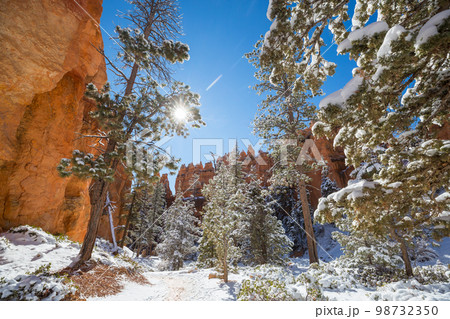 Winter Bryce 98732350