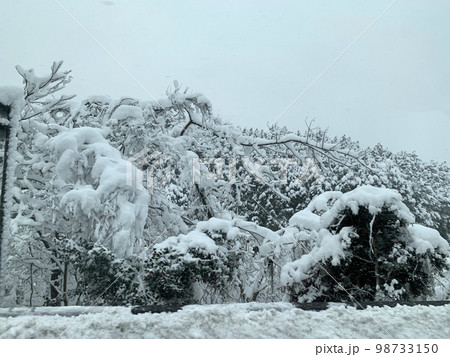 豪雪地帯 98733150