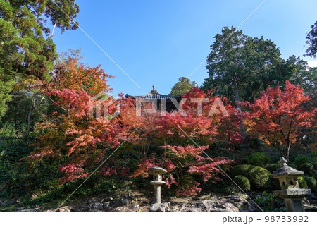 青空バック見上げるカラフルな紅葉とお寺のコラボ情景＠香川 98733992