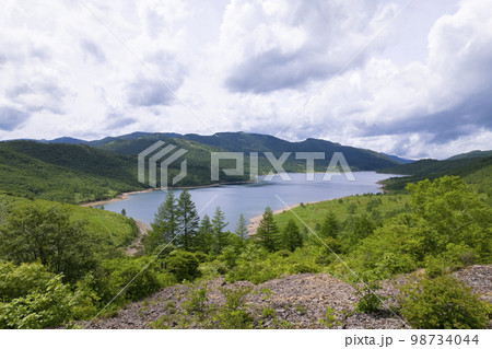 野反湖の湖畔　夏景色【群馬県野反湖エリア】 98734044