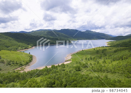 野反湖の湖畔　夏景色【群馬県野反湖エリア】 98734045