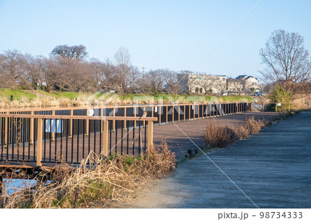 ビン沼川　冬景色　富士見市側から眺めたの風景　 98734333