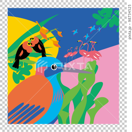 美麗的南方鳥類 98734525