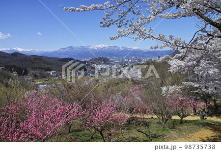 四月 花見山公園 四月 花見山公園 98735738