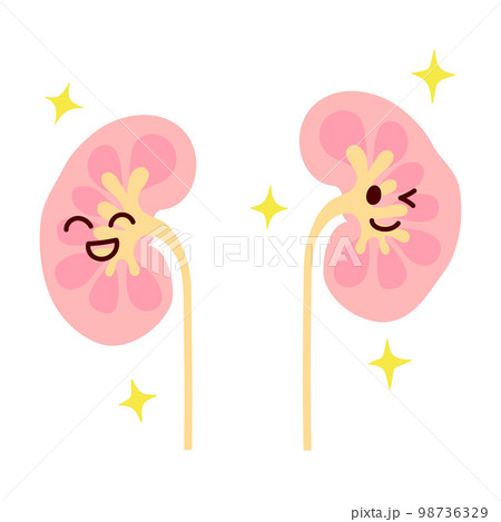 元気で笑顔の腎臓のイラスト 元気で笑顔の腎臓のイラスト 98736329