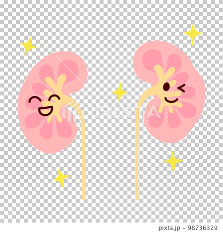 元気で笑顔の腎臓のイラスト 元気で笑顔の腎臓のイラスト 98736329