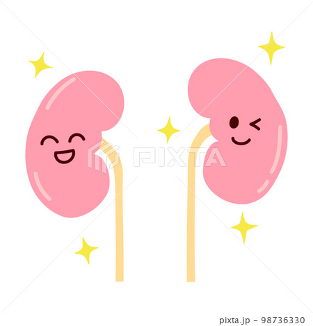 元気で笑顔の腎臓のシンプルなイラスト 98736330