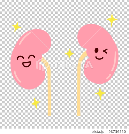 元気で笑顔の腎臓のシンプルなイラスト 98736330