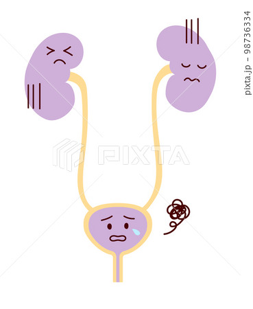 調子が悪く悲しい表情の腎臓と膀胱のイラスト 98736334