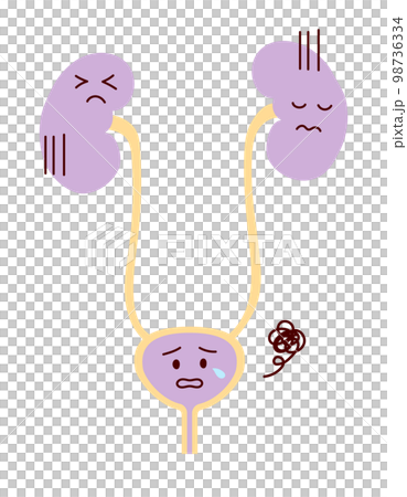 調子が悪く悲しい表情の腎臓と膀胱のイラスト 98736334