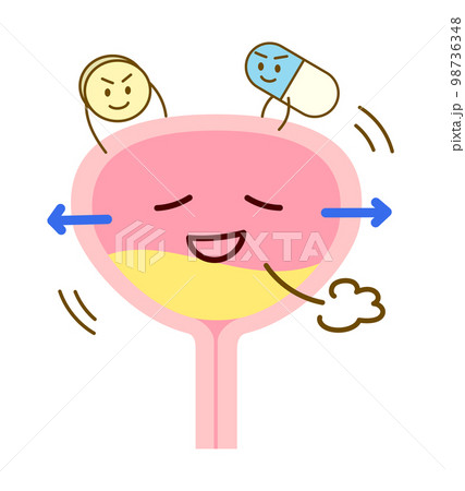 過活動膀胱の薬が効いてリラックスしている膀胱のイラスト 98736348