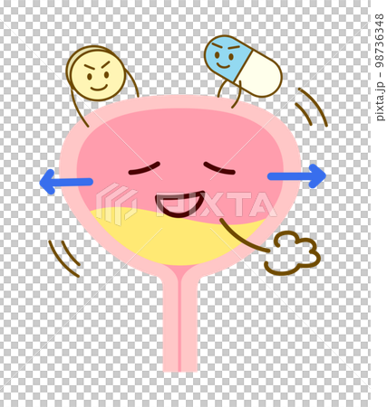過活動膀胱の薬が効いてリラックスしている膀胱のイラスト 98736348
