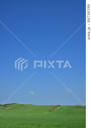 奥熊牛原野 98736399