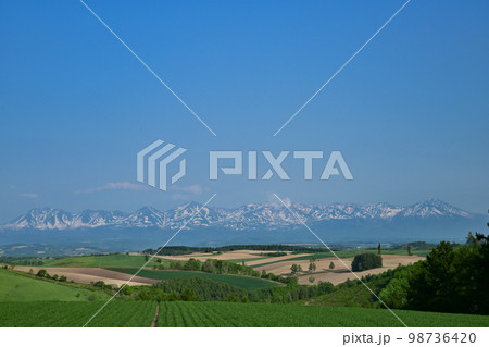 美瑛・丘の景色 98736420