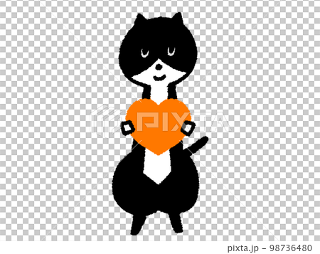 heart, hearts, cat 98736480