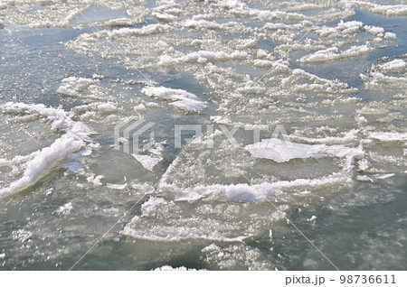 千曲川を漂う沢山の蓮葉氷 千曲川を漂う沢山の蓮葉氷 98736611