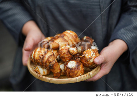 収穫した里芋を持つ女性 98737210