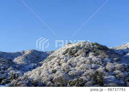 雪化粧をした京都嵐山　渡月橋 98737791