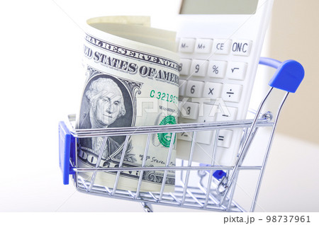 ショッピングカートに入った米ドル ショッピングカートに入った米ドル 98737961