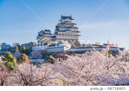 （兵庫県）世界遺産　姫路城　満開の桜 98738805