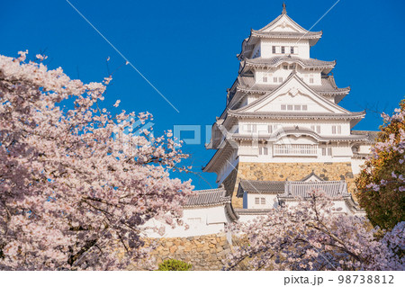 （兵庫県）世界遺産　姫路城　満開の桜 98738812