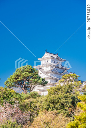（兵庫県）世界遺産　姫路城　満開の桜 98738819