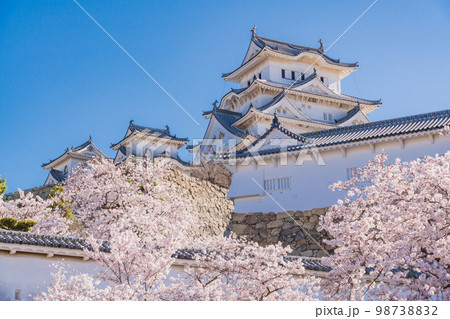 （兵庫県）世界遺産　姫路城　満開の桜 98738832