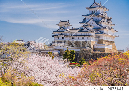 （兵庫県）世界遺産　姫路城　満開の桜 98738854