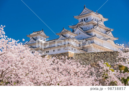 （兵庫県）世界遺産　姫路城　満開の桜 98738857